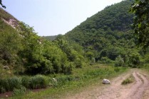 Country road