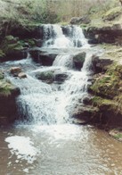 Cascades in Stream