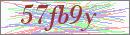[security_code]